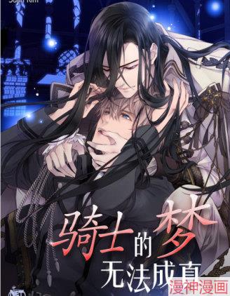 骑士的梦无法成真~