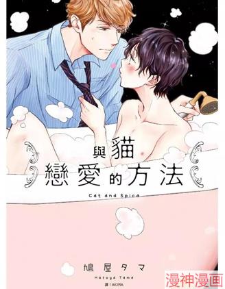 与猫恋爱的方法~